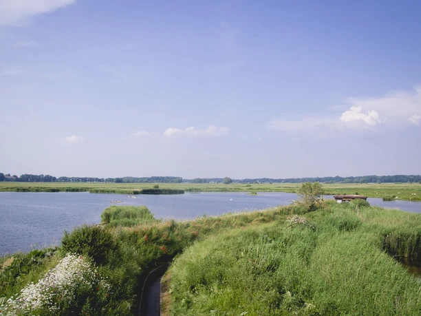 NABU_Vogelstation Wedeler Marsch_Blick auf das Gewässer_NABU Hamburg_Dröse_T