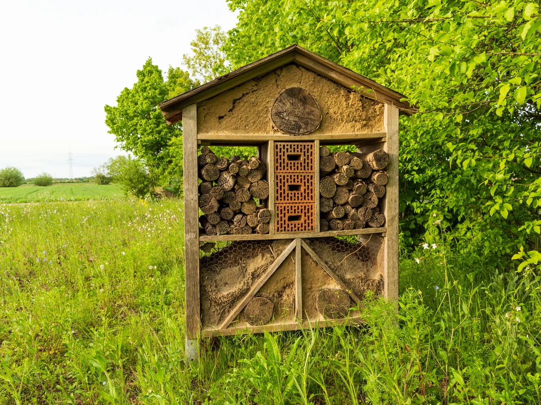 Alte Scheune Historische Dorfschmiede FotoChristianSchwier-070 (8).jpg Ein Insektenhotel aus Holz und Lehm vor einem grünen Feld und Bäumen bei leicht bewölktem Himmel.