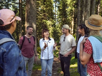 Geführte Wanderung auf dem Pilatus.
