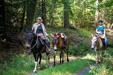 Maultierhof Klein.jpg