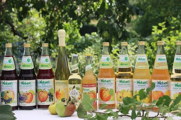 Weber Säfte Eine Auswahl an Weber Obstgetränken, darunter Säfte und Cider, ist auf einem Tisch in einem Garten ausgestellt.