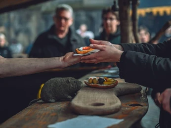 Mystica Hamelon Gastronomie