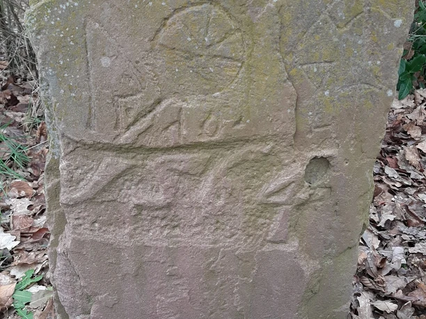 M rkerstein 2