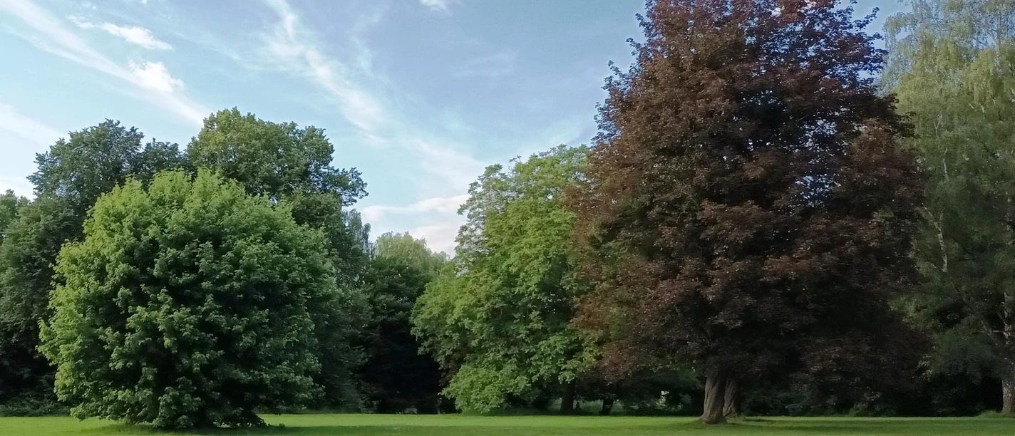 Stadtpark Salzgitter-Lebenstedt mit Baumlehrpfad