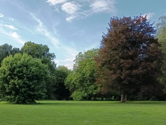 Stadtpark Salzgitter-Lebenstedt mit Baumlehrpfad