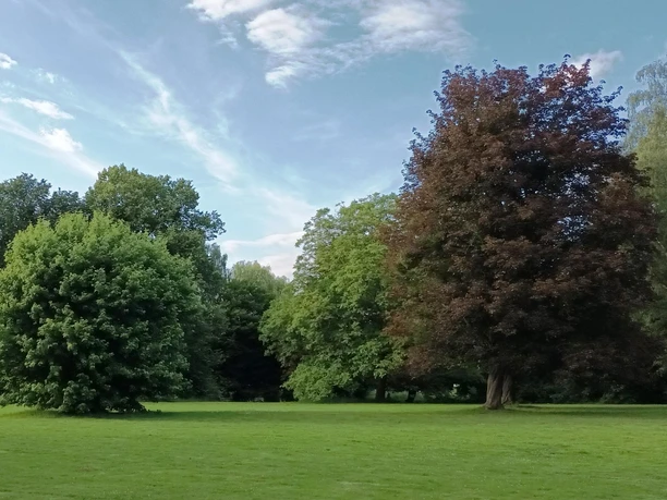 Stadtpark Salzgitter-Lebenstedt mit Baumlehrpfad