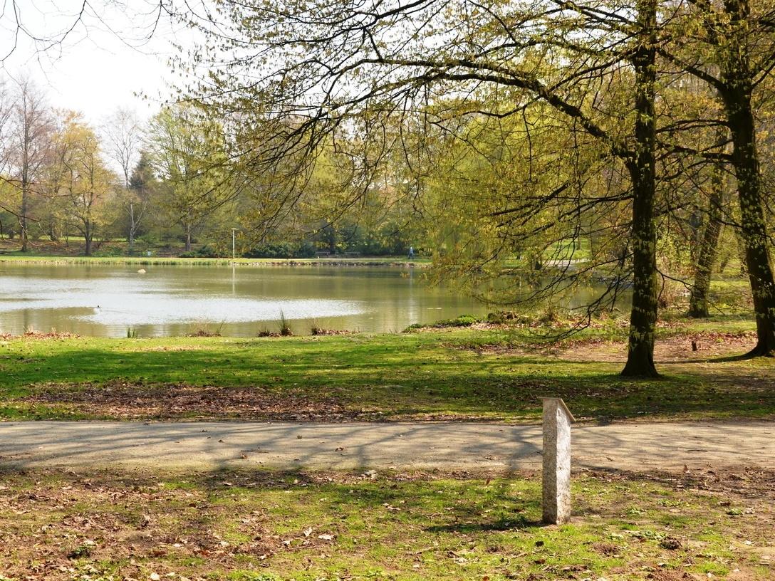 Teich im Stadtpark von Salzgitter-Lebenstedt