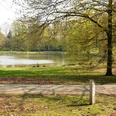 Teich im Stadtpark von Salzgitter-Lebenstedt