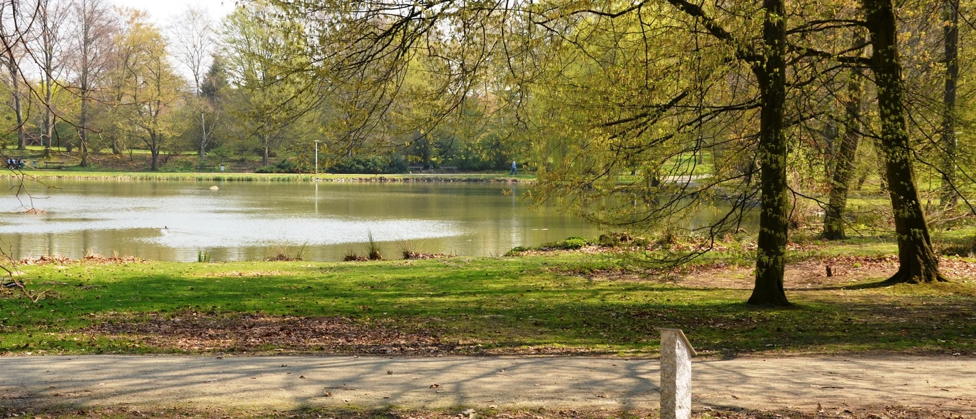 Teich im Stadtpark von Salzgitter-Lebenstedt