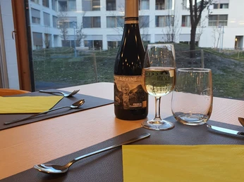 Place Michael view incl table set.jpg