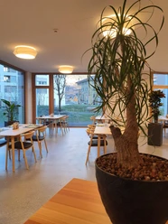 Stelle Park Sicht 2.jpg