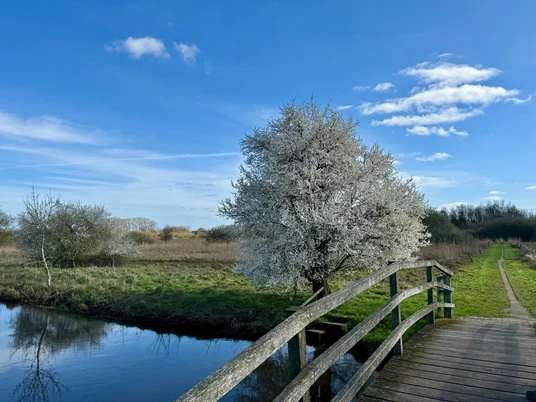 Wanderung durch das Auetal Wanderung durch das Auetal