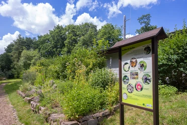 Königsfeld_Naturschutzstation Weiditz_(c)LUFTFLUG.com_CC BY-SA (2).jpg