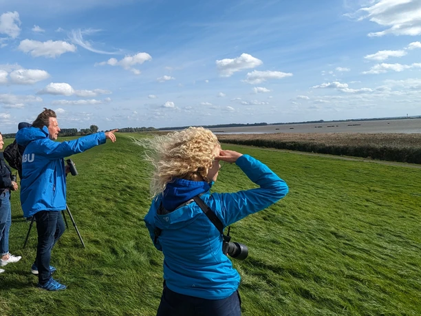 Vogelkieker_20230914_Wedeler Marsch_Hoffmann_A