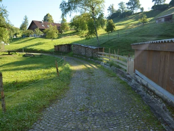 Alte Schwanderholzstrasse in Ebnet