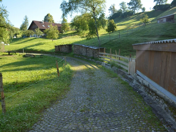Alte Schwanderholzstrasse in Ebnet
