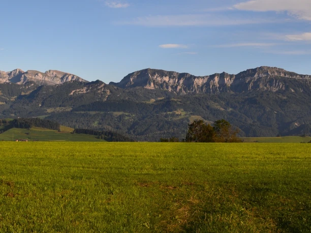 Fantastische Weitsicht auf dem Ebnet-Rundweg