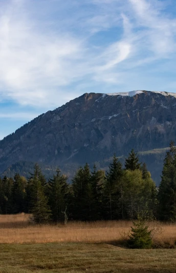 Blick auf dem Schimbrig vom herbstlichen Mettelimoos.