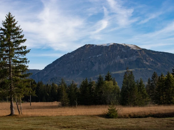 Blick auf dem Schimbrig vom herbstlichen Mettelimoos.