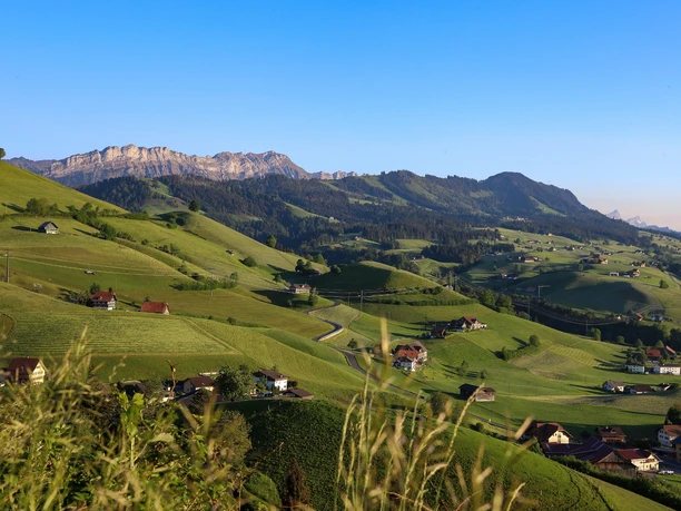 Blick vom Luegisland Richtung First.