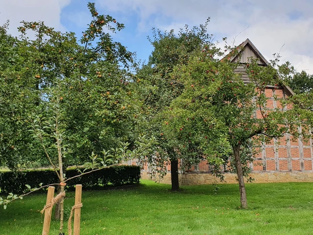 Historische Gebäude im Museumsdorf Cloppenburg