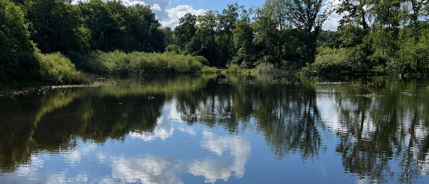 Rothbalzer Teich NPRW