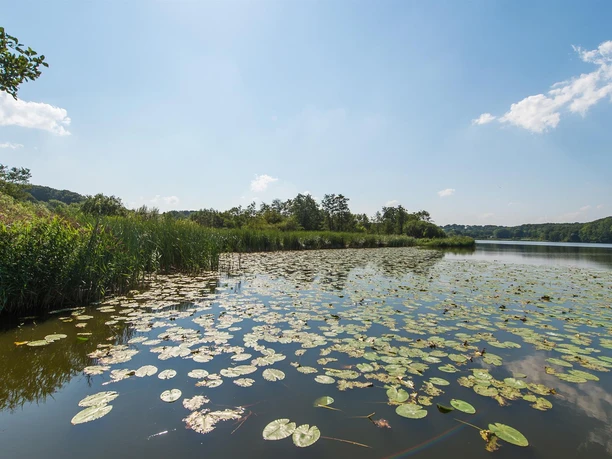 Niehuuser See Niehuuser See