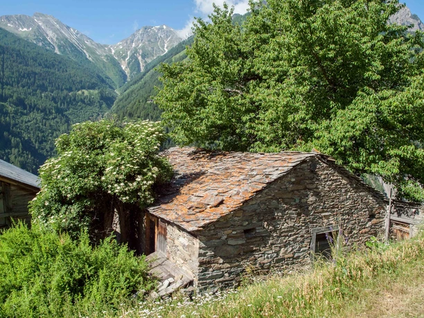 Doru