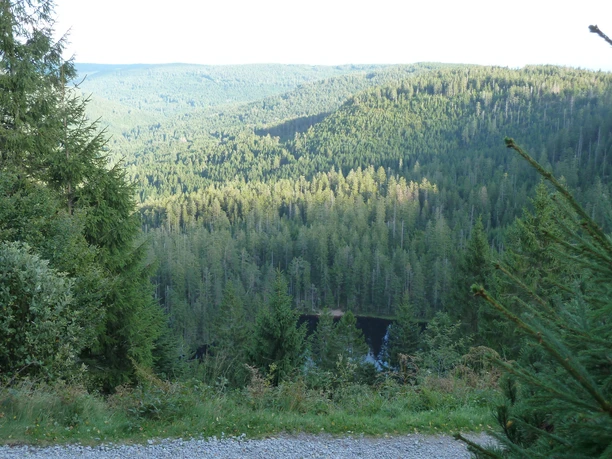 Wildseeblick vom Euting Grab auf den Wildsee und ein unendlich scheinendes Waldgebiet