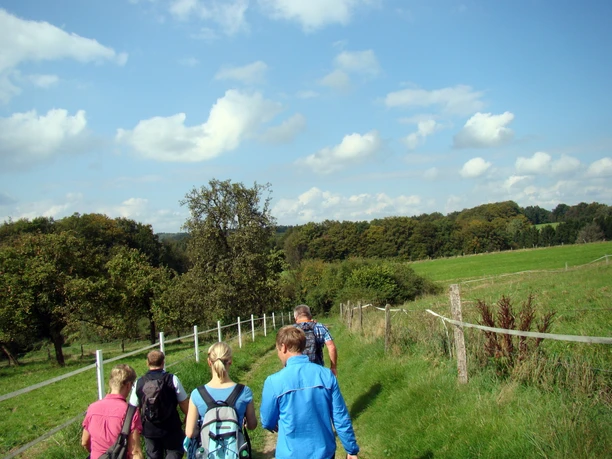 Über die Höhen <p>Gruppe von Wanderern auf einem Naturpfad, umgeben von Wiesen und Bäumen unter blauem Himmel.</p>