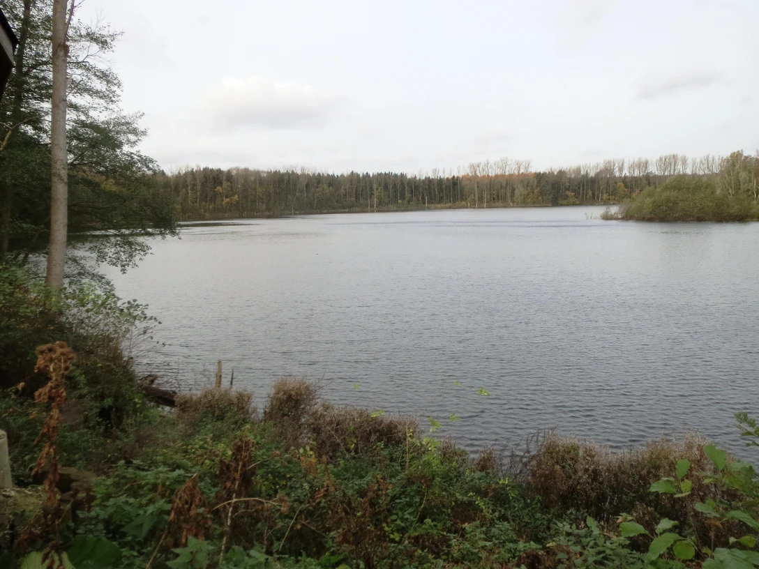Oerkhaussee in Hilden Ruhiger See von Bäumen umgeben, mit wolkigem Himmel, eingerahmt von herbstlichem Grün.