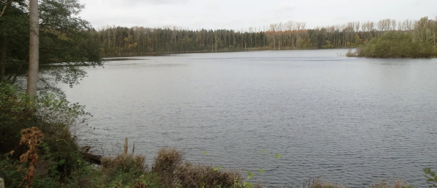 Oerkhaussee in Hilden Ruhiger See von Bäumen umgeben, mit wolkigem Himmel, eingerahmt von herbstlichem Grün.