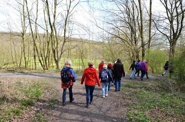 Wandern_Salzgitter_HD.JPG