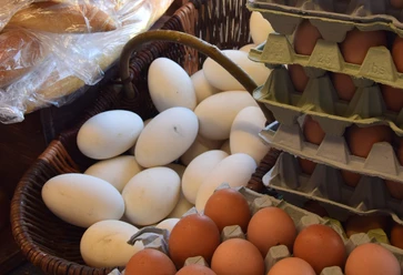 Symbolbild: Eier Nahaufnahme von weißen und braunen Eiern in Körben und Kartons, links daneben ein Brotkorb.