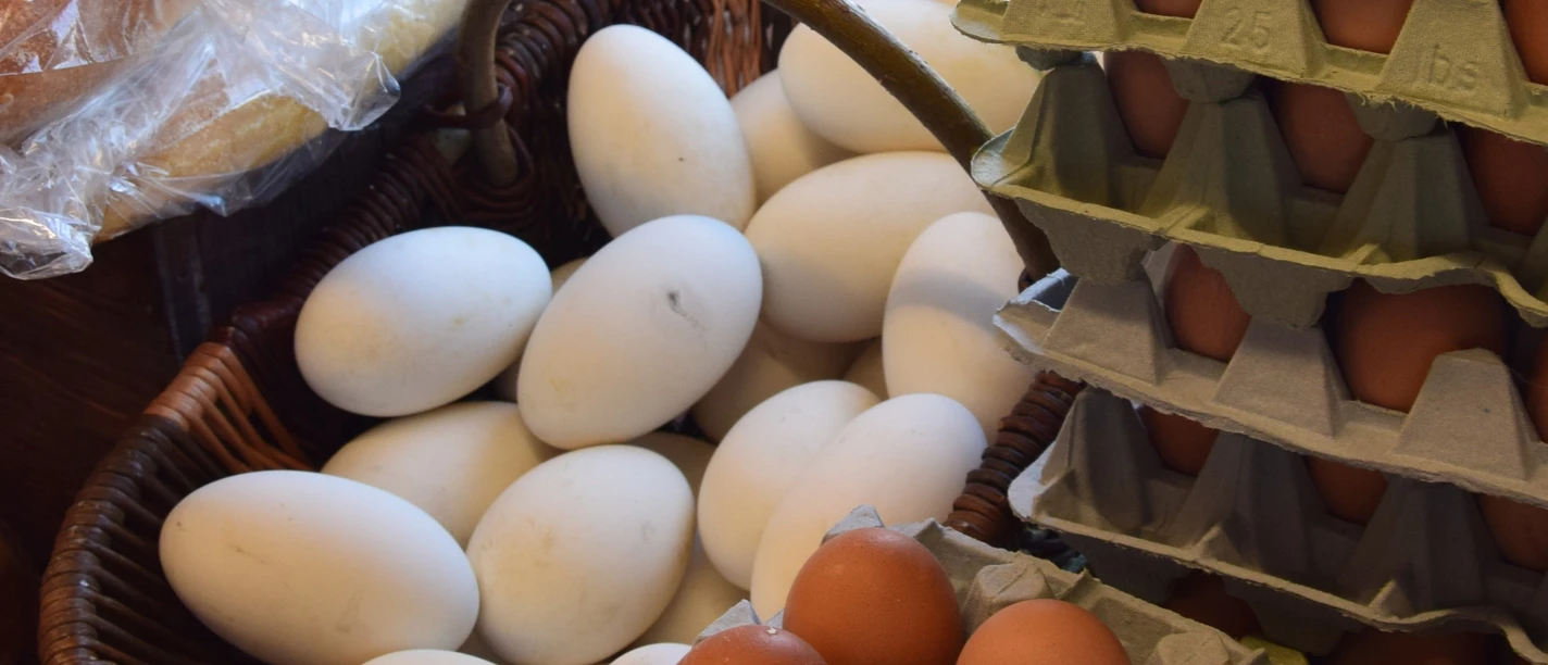 Symbolbild: Eier Nahaufnahme von weißen und braunen Eiern in Körben und Kartons, links daneben ein Brotkorb.