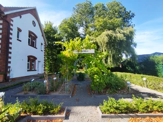 Lünne_Bibelgarten_©SG Spelle.jpg Eingangsbereich des Bibelgartens Lünne mit bepflanzten Beeten, Weinrankenbogen und grünen Hecken.