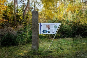 Geostation Panzerlurche Heimarshausen