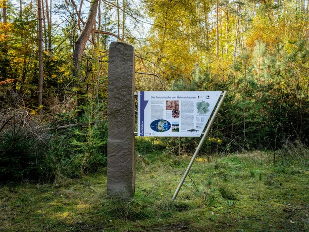 Geostation Panzerlurche Heimarshausen