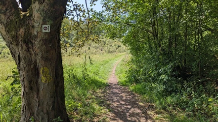 Rundweg am Roten Stollen