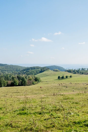 Blick zum Herbsthaus