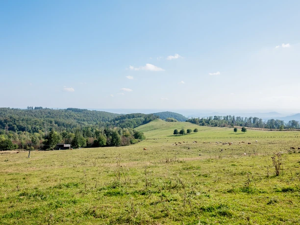 Blick zum Herbsthaus