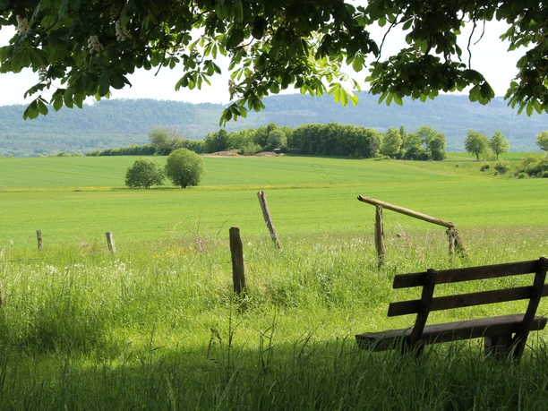 Ländliche Idylle rund um Wehrheim