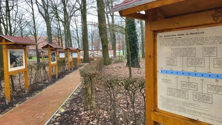 Wehmer Geschichtspfad ©Naturpark Hümmling (8).jpg Holzweg mit Infotafeln zur Ortsgeschichte von Wehm im Waldgebiet des Naturparks Hümmling