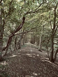 Damm im Rosengarten Wanderweg auf einem Damm im Rosengarten