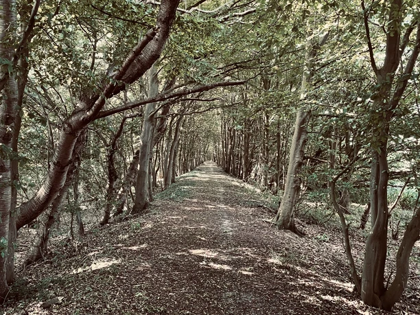 Damm im Rosengarten Wanderweg auf einem Damm im Rosengarten