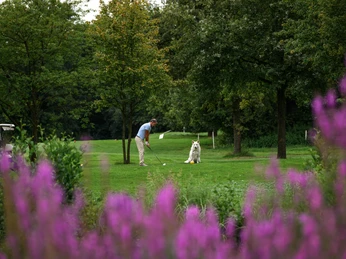 Abschlag_mit_Hund.jpg Ein Mann spielt mit einem weißen Schäferhund auf einem grünen Golfplatz, umgeben von Bäumen.