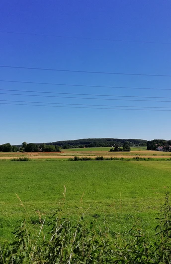 Weite grüne Wiesen mit Blick auf einen sanften Hügel unter klarem blauem Himmel, umgeben von Bäumen.