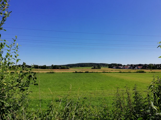 Weite grüne Wiesen mit Blick auf einen sanften Hügel unter klarem blauem Himmel, umgeben von Bäumen.