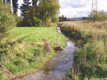 Ein Bach schlängelt sich durch eine grüne Wiesenlandschaft; Bäume und Sträucher säumen den Uferbereich.
