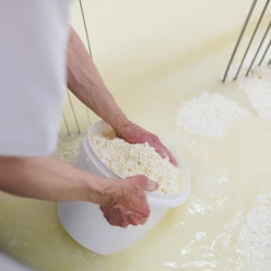 Käsekurs Käsekurs auf dem Erdmannshof